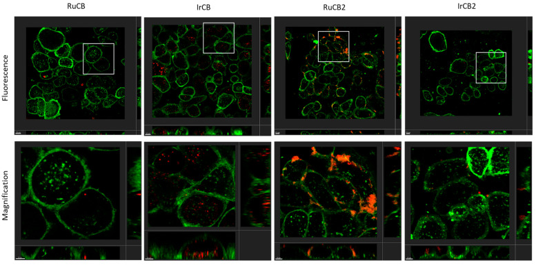 Figure 18