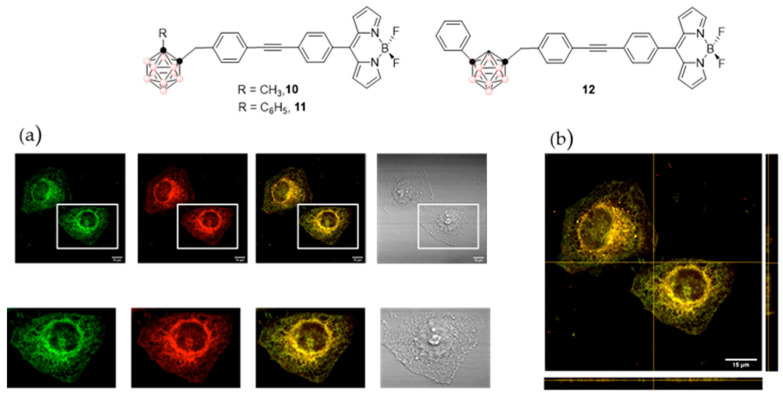 Figure 14