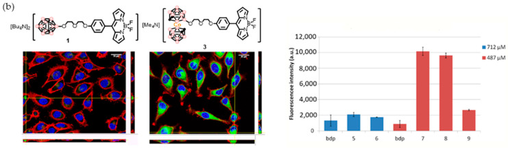 Figure 12