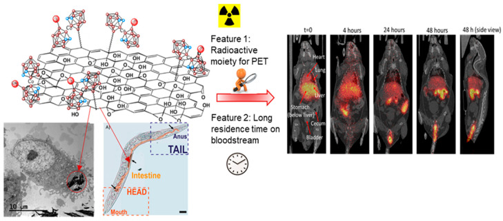 Figure 16