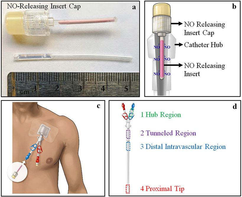 Figure 1.