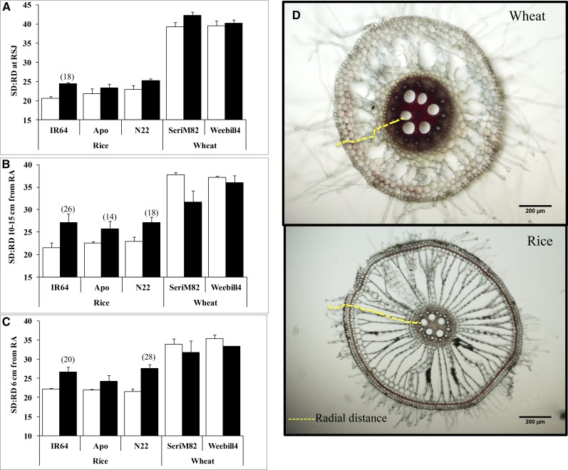 Figure 6.