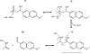 Scheme 3