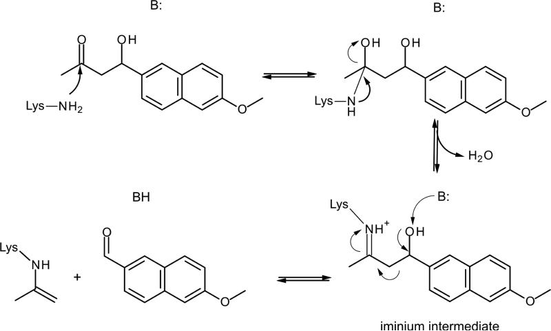 Scheme 3