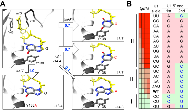 Figure 7.