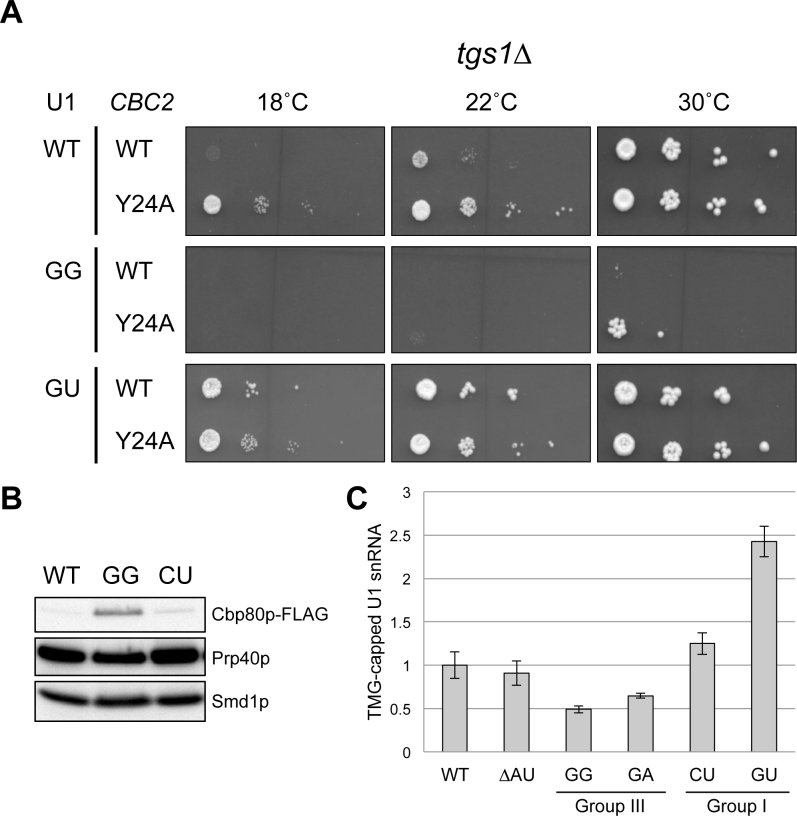 Figure 6.