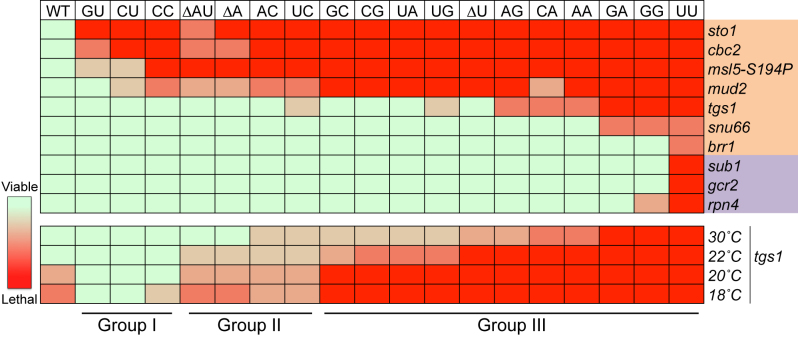 Figure 5.