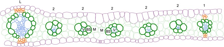 Fig. 1.