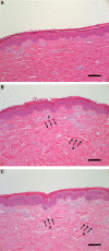 <b>FIG. 4.</b>