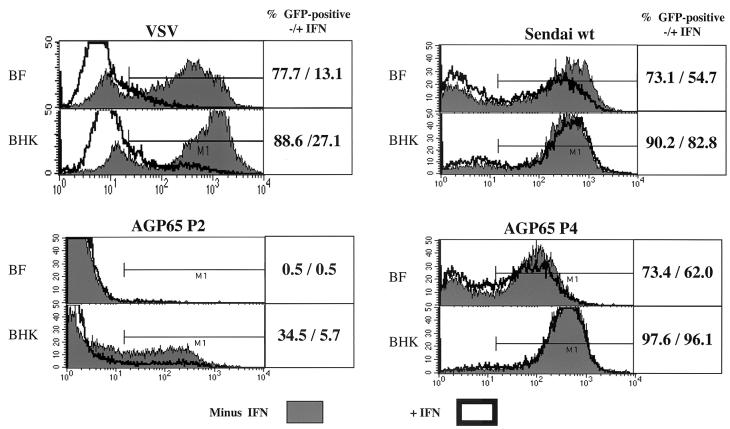 FIG. 6.