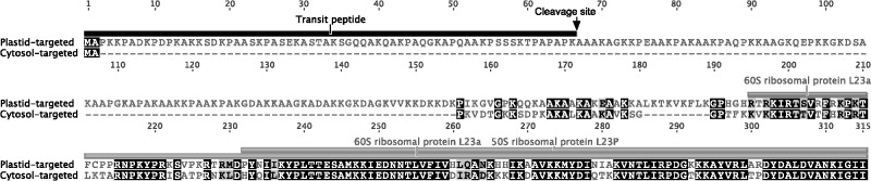 Fig. 2.—