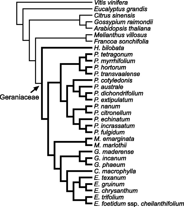 Fig. 1.—