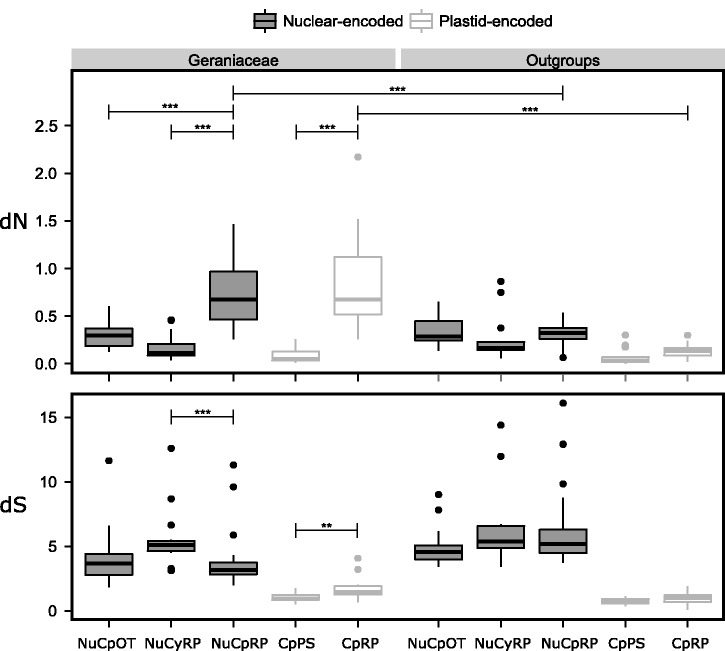 Fig. 3.—