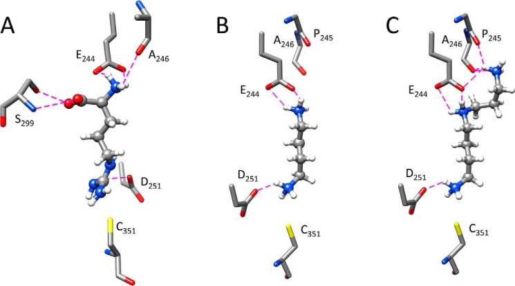 Figure 6.