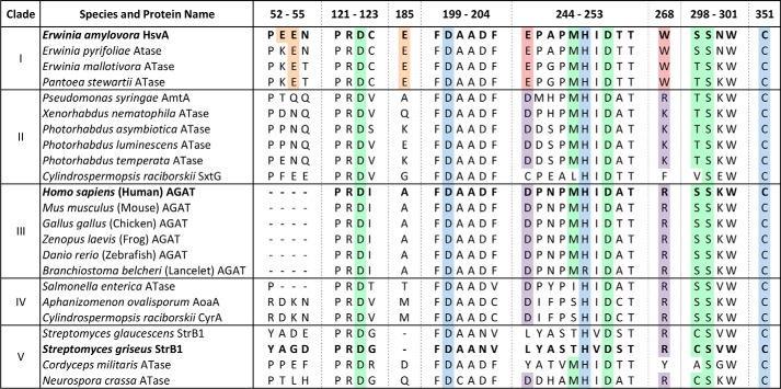 Figure 7.