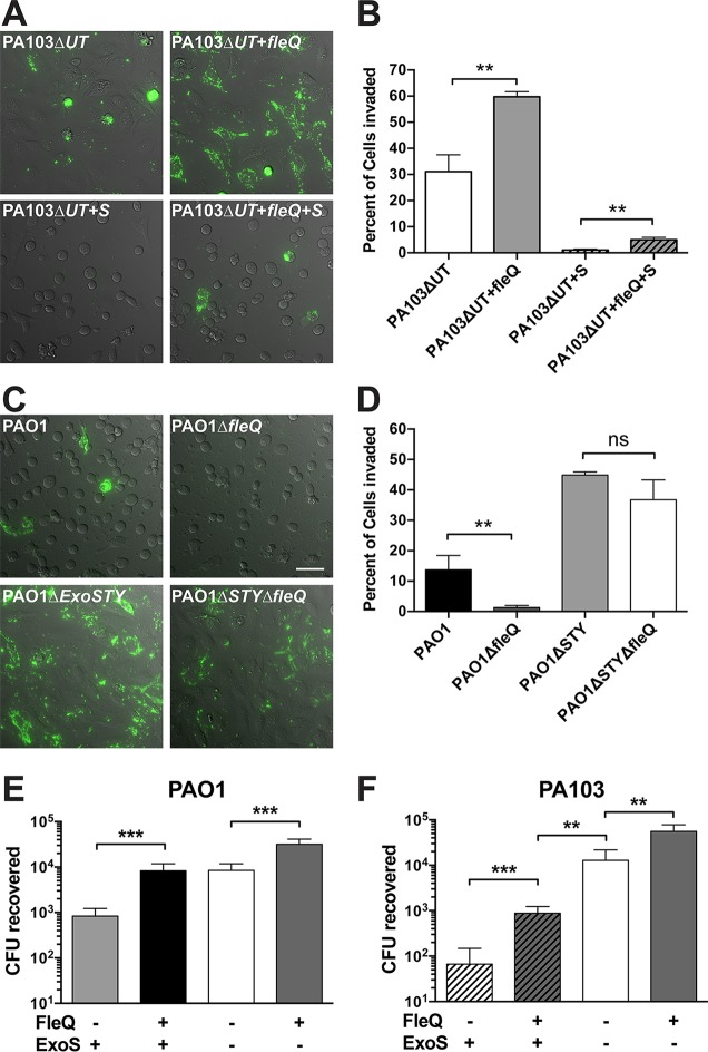 FIG 6 