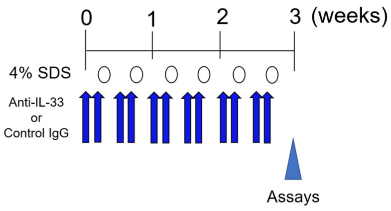 Scheme 2