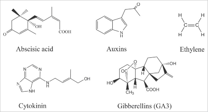 Figure 1.