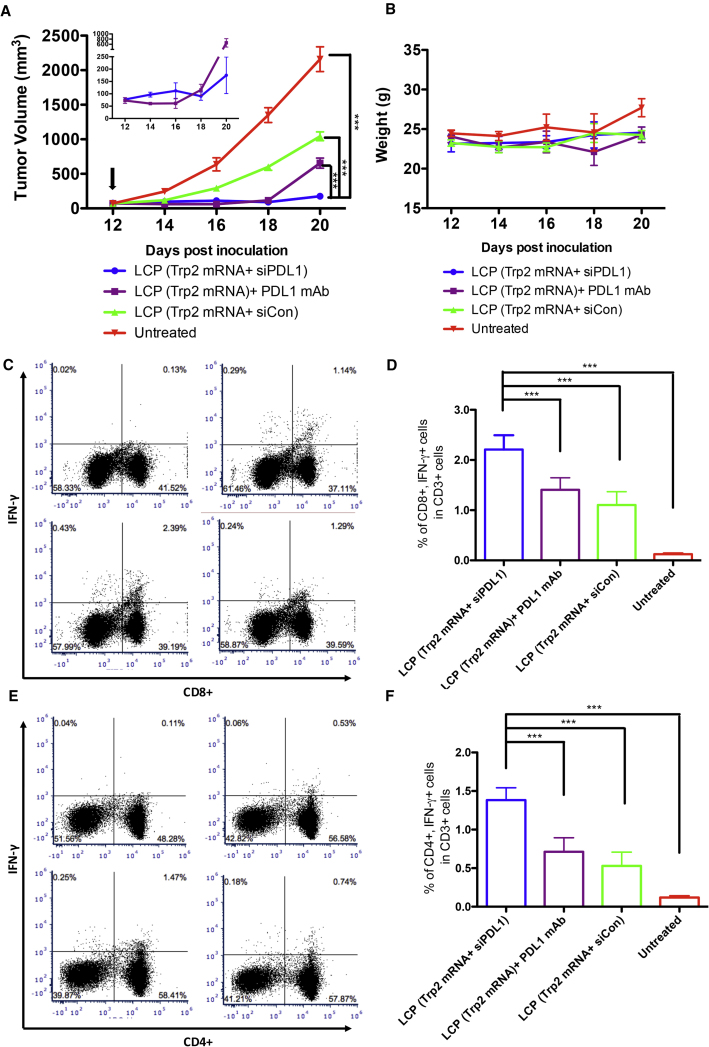 Figure 6