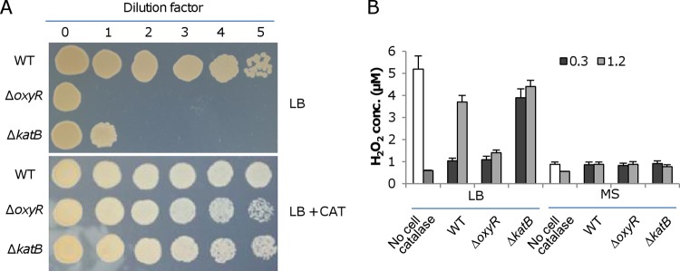 FIG 2