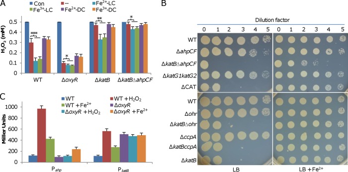 FIG 6