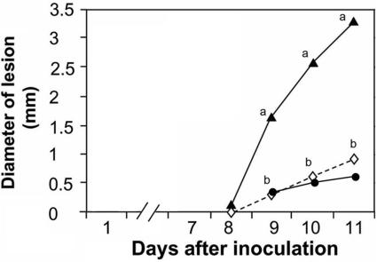 FIG. 5.