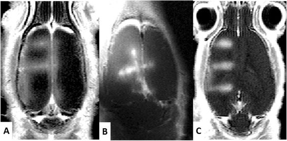 Fig. 5