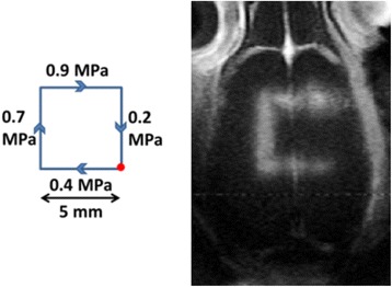 Fig. 7