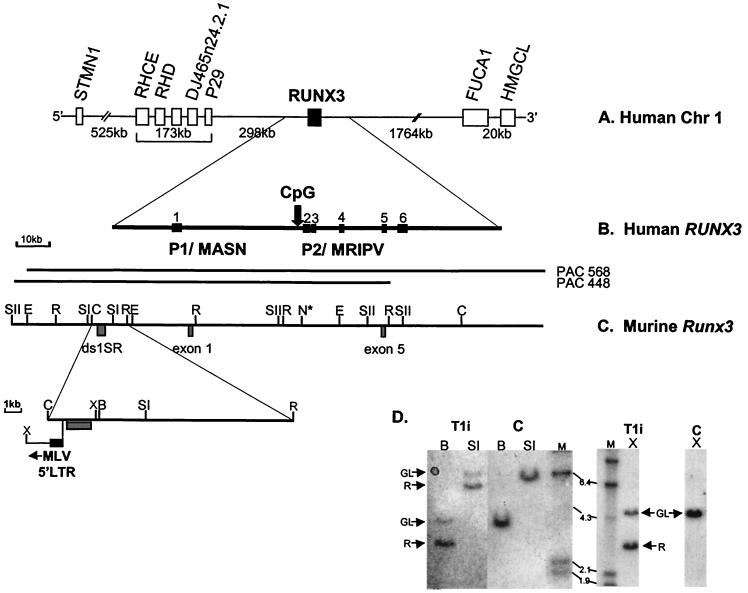 FIG. 2.