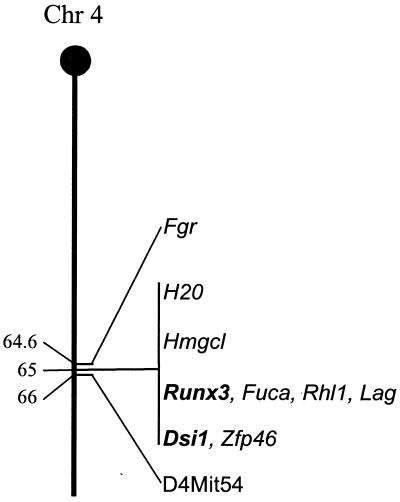 FIG. 1.