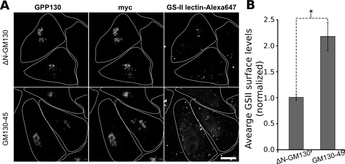 FIGURE 6: