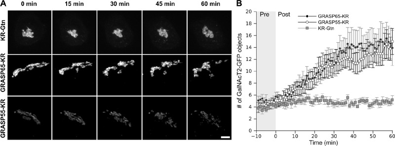 FIGURE 2: