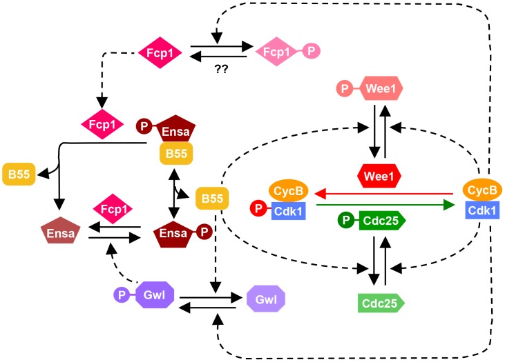 Figure 6