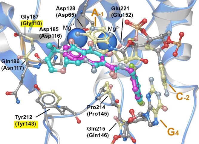 Figure 2