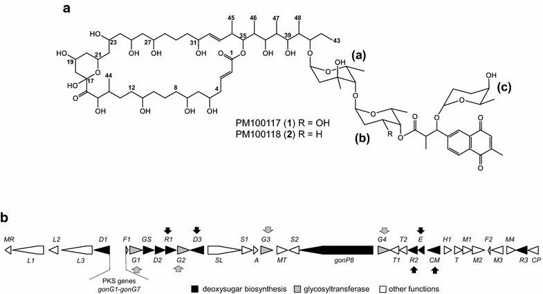 Fig. 1