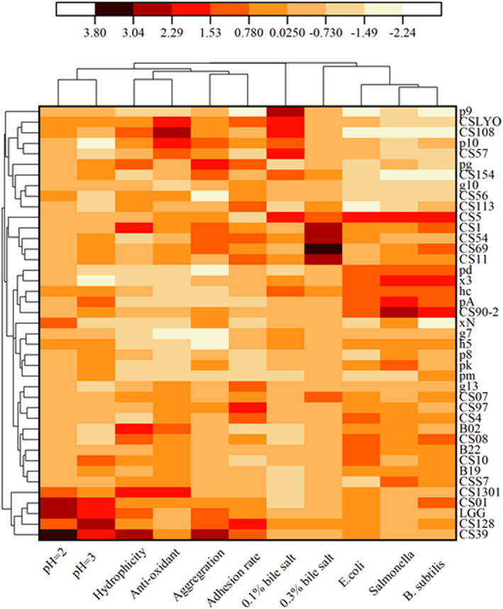 FIGURE 6