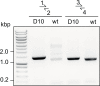Figure 7—figure supplement 1.