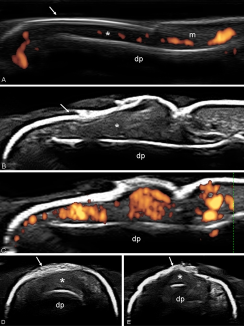 Fig. 9