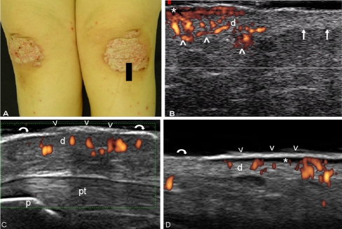 Fig. 7