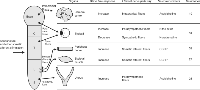 Figure 7.