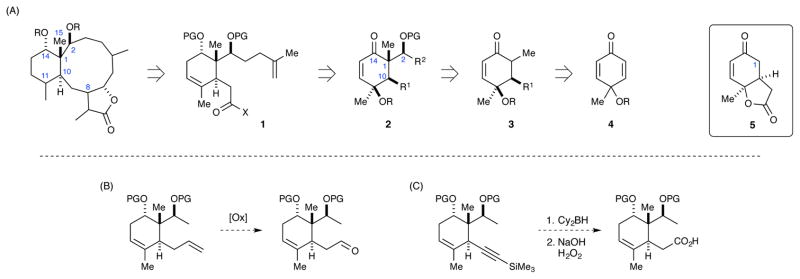 Scheme 4