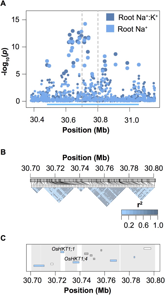 Fig 3