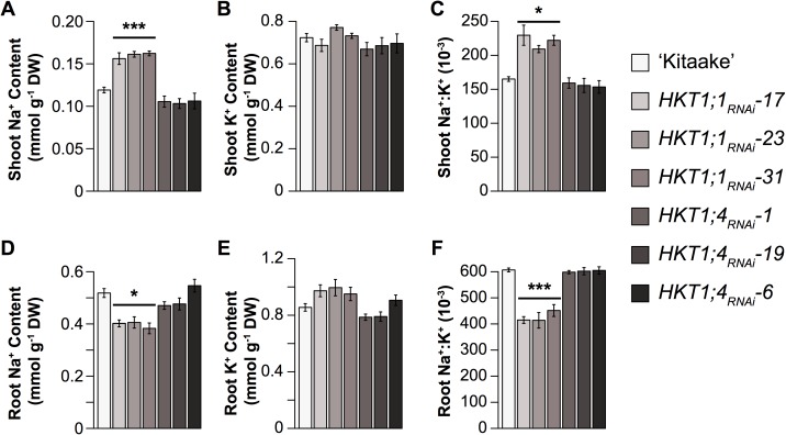 Fig 5