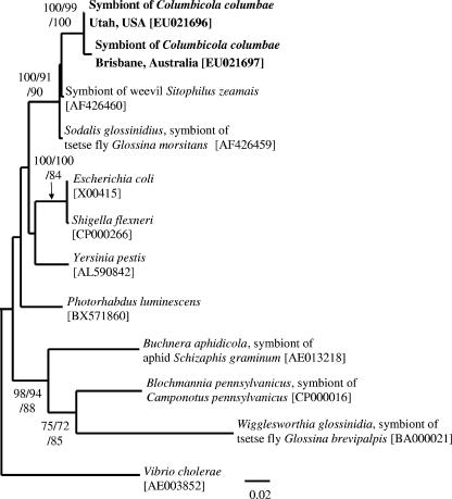 FIG. 2.