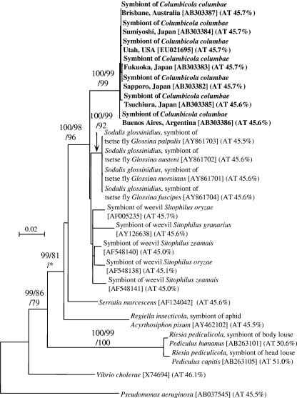 FIG. 1.