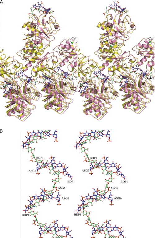 FIGURE 4.