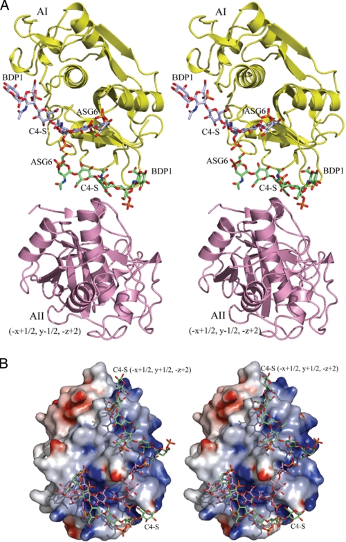 FIGURE 5.