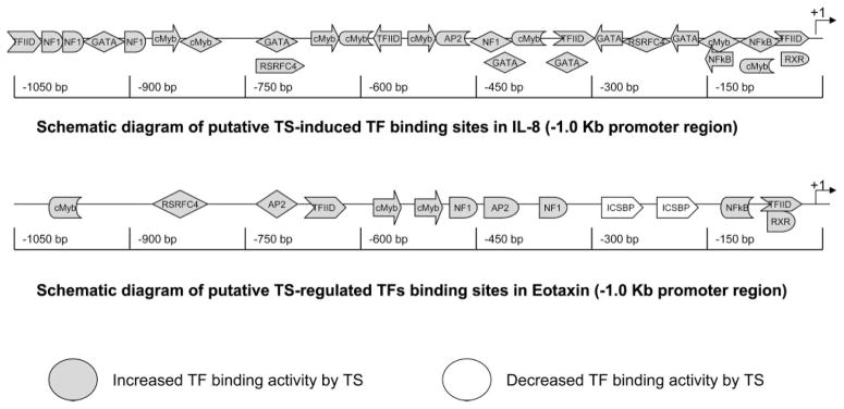 Fig. 9