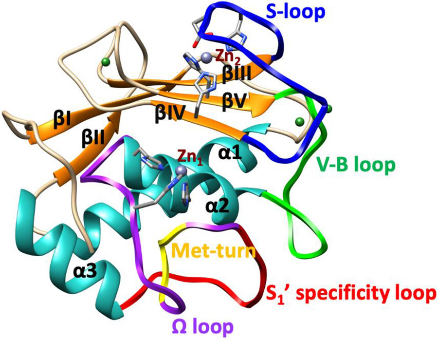 Fig. 2