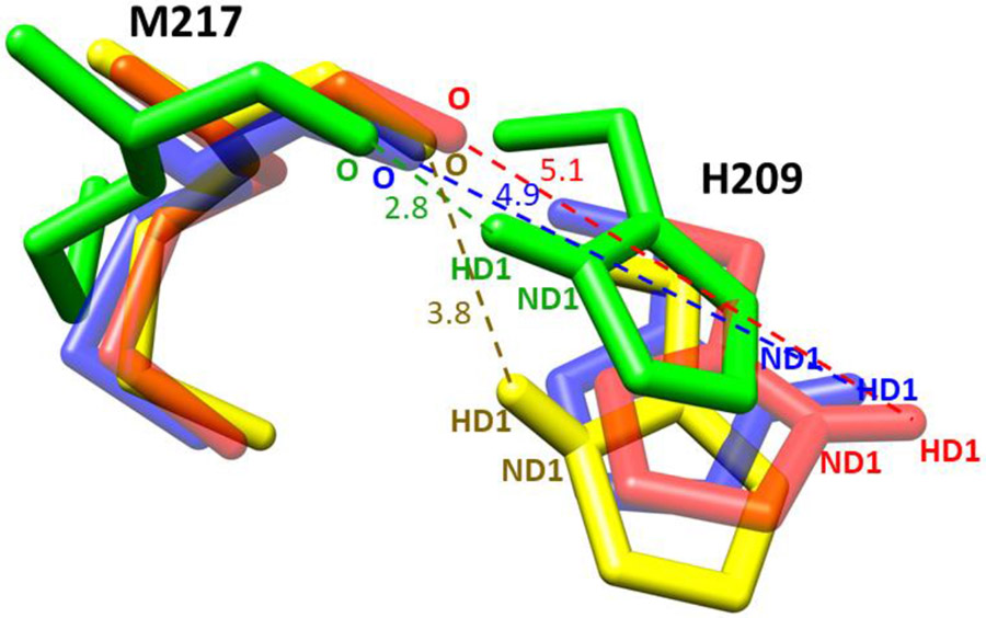 Fig. 6